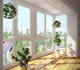 Выбор металлопластиковых окон в Киеве