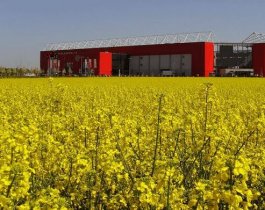 Перспективы развития агропромышленного бизнеса в Украине