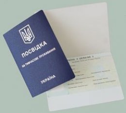 Как получить вид на жительство для семьи