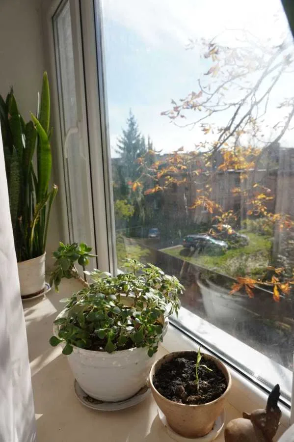 продаж 2-к квартира Полтава, Київський, 42500 $