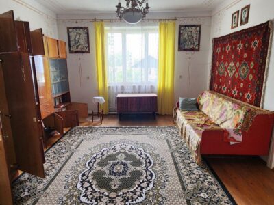 Продаж будинку з великою земельною ділянкою у Стрийському районі, с. Станківці