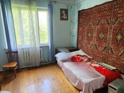 Продаж будинку з великою земельною ділянкою у Стрийському районі, с. Станківці