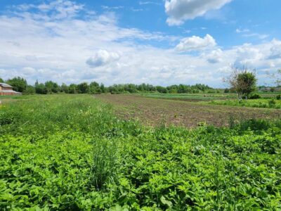 Продаж будинку з великою земельною ділянкою у Стрийському районі, с. Станківці
