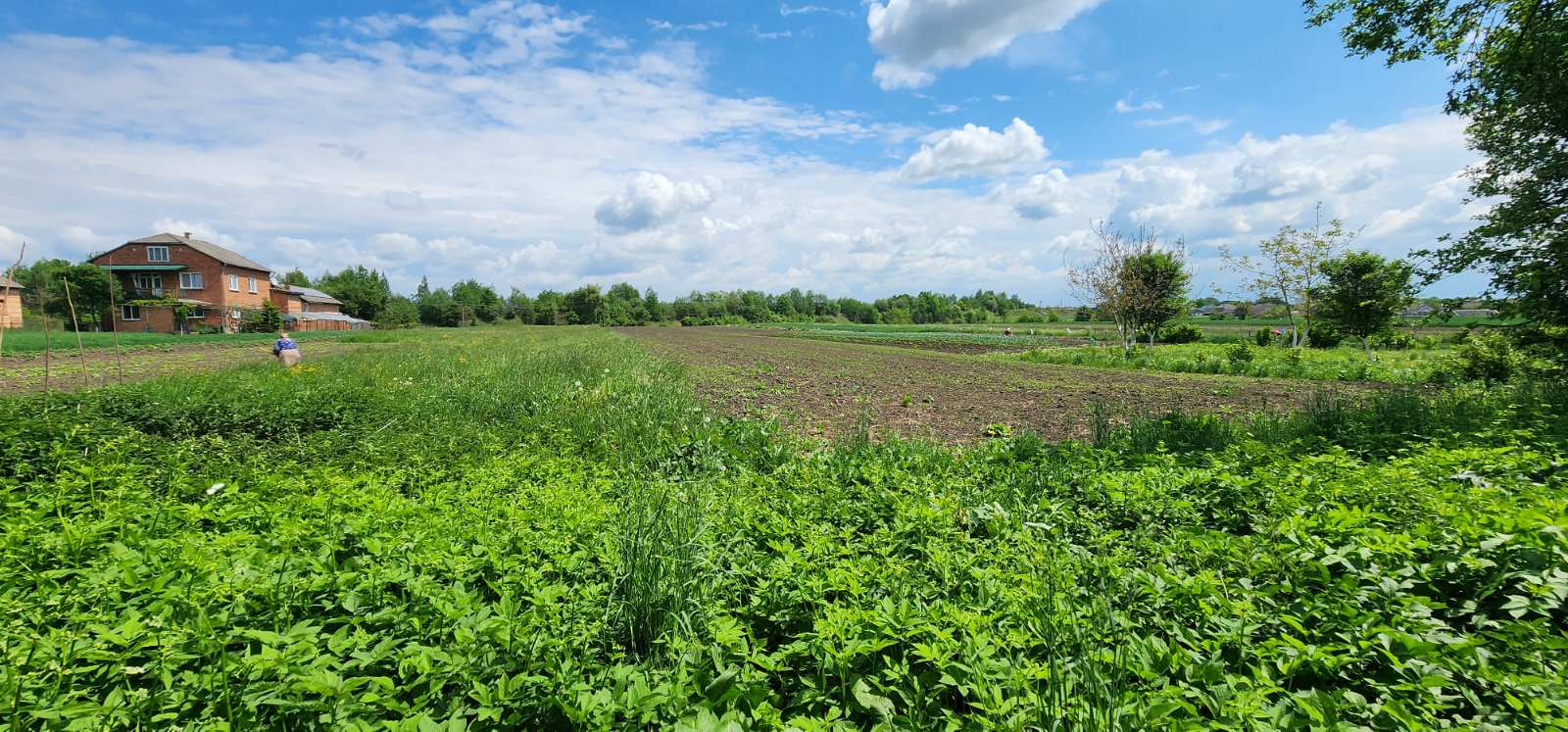 Продаж будинку з великою земельною ділянкою у Стрийському районі, с. Станківці