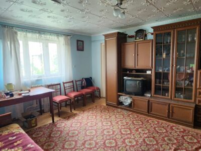 Продаж будинку з великою земельною ділянкою у Стрийському районі, с. Станківці
