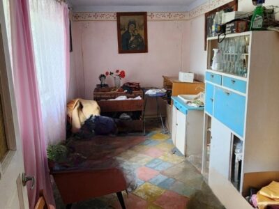 Продаж будинку з великою земельною ділянкою у Стрийському районі, с. Станківці