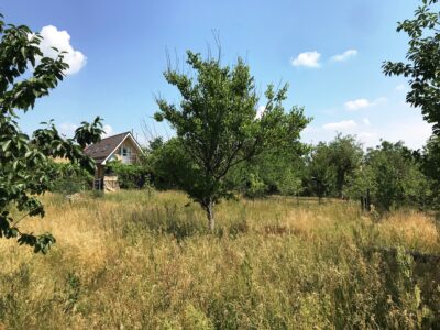БЕЗ%, Продам будинок село Дмитрівка Бучанський район 15км метро Житомирська