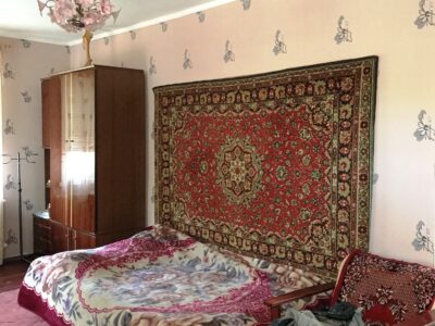 БЕЗ%, Продам будинок село Дмитрівка Бучанський район 15км метро Житомирська