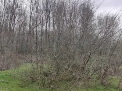 продаж ділянка під житлову забудову Запоріжжя, Дніпровський, 1094000 грн.