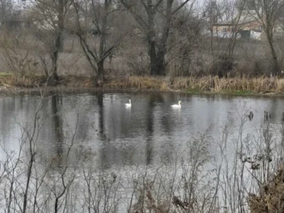 продаж 3-к будинок Сквирський, Самгородок, 12000 $