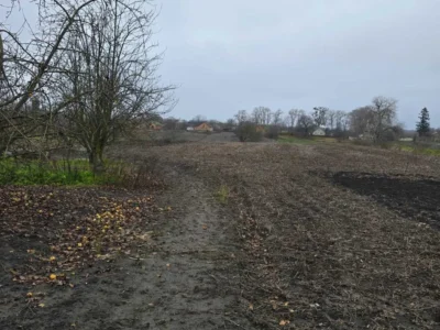 продаж 3-к будинок Сквирський, Самгородок, 12000 $