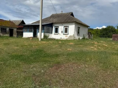 продаж ділянка сільськогосподарського призначення Бориспільський, Старе, 12500 $