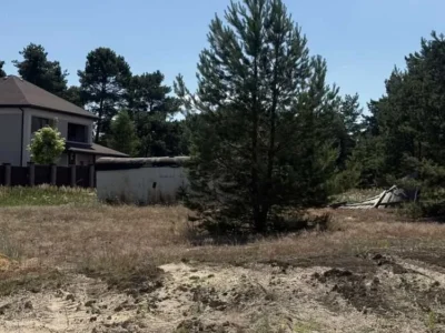 продаж ділянка сільськогосподарського призначення Вишгородський, Хотянівка, 520000 $
