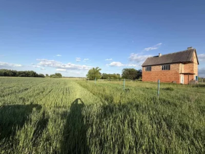 продаж ділянка під житлову забудову Бориспільський, Артемівка, 10000 $