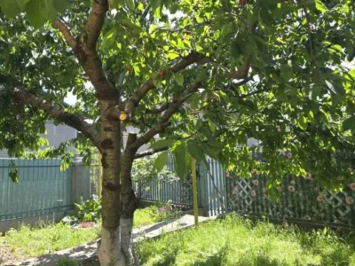 довгострокова оренда 2-к будинок Одеса, Пересипський, 12000 грн./міс.