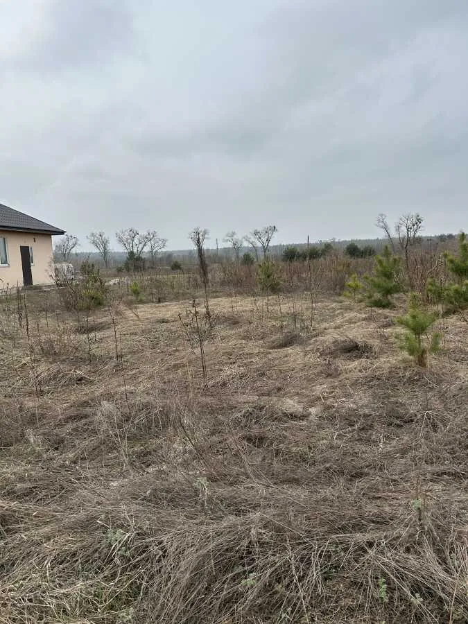 продаж ділянка під житлову забудову Броварський, Рожівка, 12000 $