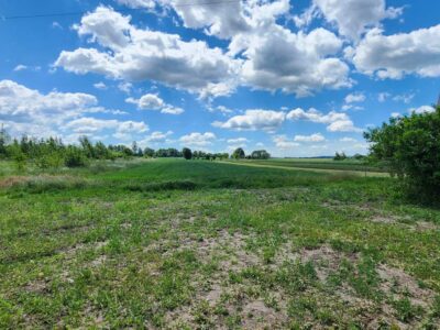 Продаж земельної ділянки під забудову в с. Чишки, 25 сот