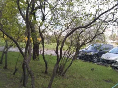 довгострокова оренда 1-к квартира Київ, Дніпровський, 8500 грн./міс.