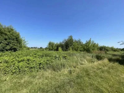 продаж ділянка сільськогосподарського призначення Броварський, Пухівка, 435071 грн.