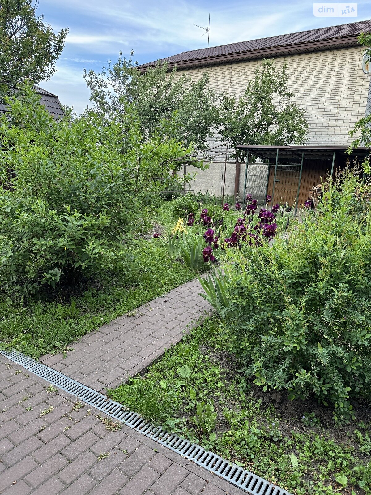 Приватний будинок у с. Григорівка, Броварського р-ну, Київської обл.