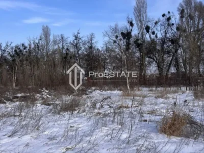 продаж ділянка сільськогосподарського призначення Бориспільський, Гнідин, 150000 $