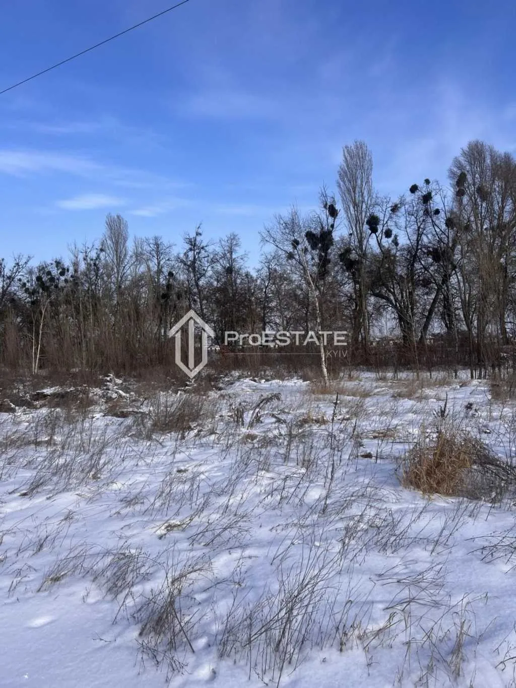 продаж ділянка сільськогосподарського призначення Бориспільський, Гнідин, 150000 $
