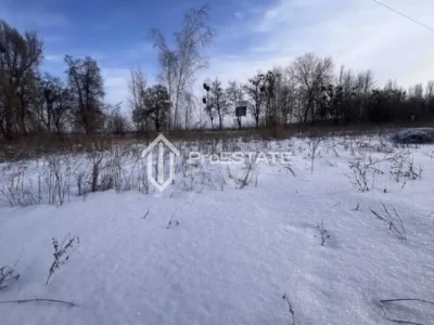 продаж ділянка сільськогосподарського призначення Бориспільський, Гнідин, 150000 $