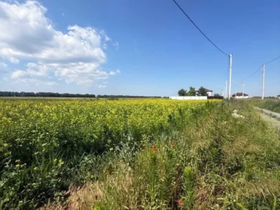 продаж ділянка під житлову забудову Бориспільський, Мала Олександрівка, 25000 $