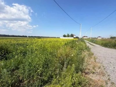 продаж ділянка під житлову забудову Бориспільський, Мала Олександрівка, 25000 $