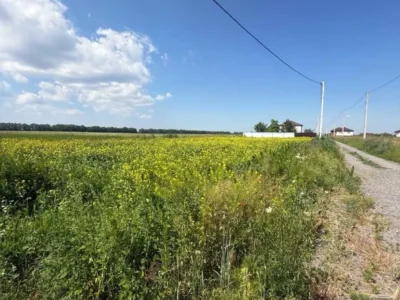 продаж ділянка під житлову забудову Бориспільський, Мала Олександрівка, 25000 $