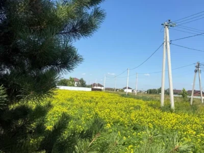 продаж ділянка під житлову забудову Бориспільський, Мала Олександрівка, 25000 $