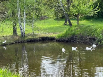 продаж 4-к будинок Обухівський, Жуківці, 190000 $