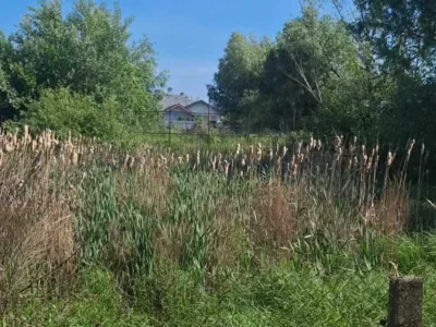 продаж ділянка сільськогосподарського призначення Бориспільський, Гнідин, 45000 $