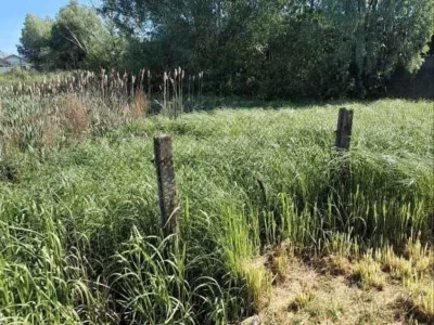 продаж ділянка сільськогосподарського призначення Бориспільський, Гнідин, 45000 $