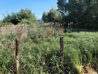 продаж ділянка сільськогосподарського призначення Бориспільський, Гнідин, 45000 $