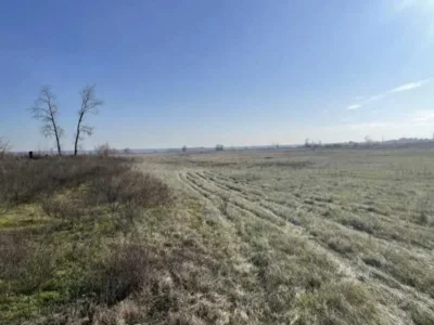 продаж ділянка сільськогосподарського призначення Броварський, Пухівка, 145733 грн.