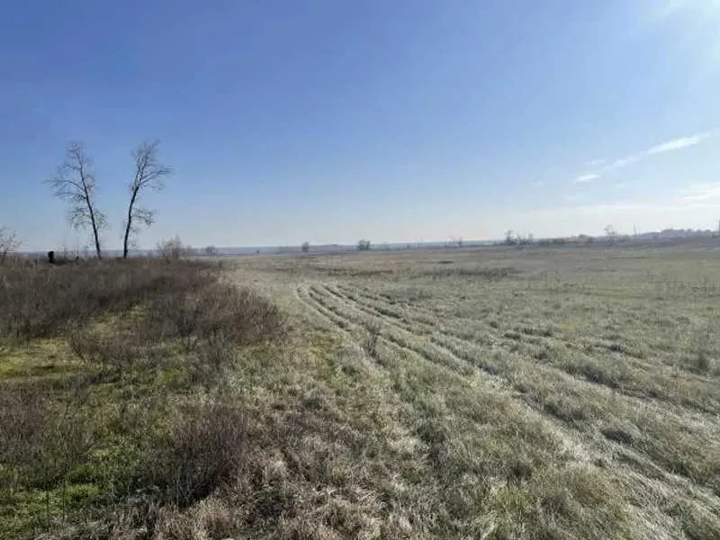 продаж ділянка сільськогосподарського призначення Броварський, Пухівка, 145733 грн.