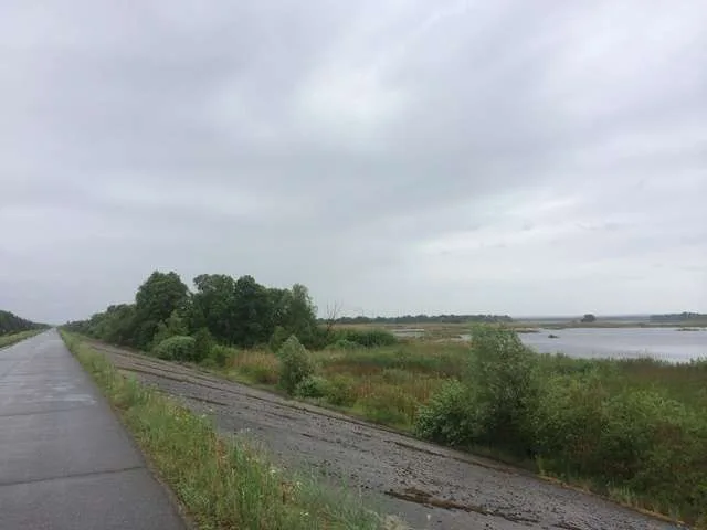 продаж ділянка під житлову забудову Бориспільський, Проців, 58000 $