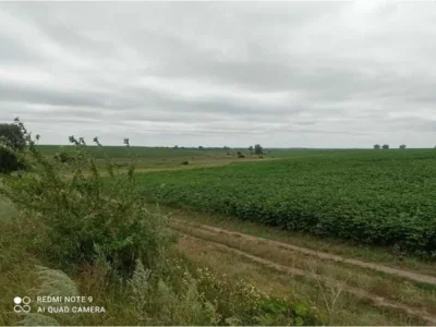 продаж ділянка сільськогосподарського призначення Волочиський, Писарівка, 120015 грн.