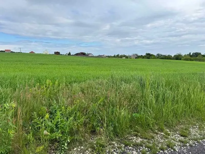 продаж ділянка під житлову забудову Бориспільський, Велика Стариця, 256982 грн.