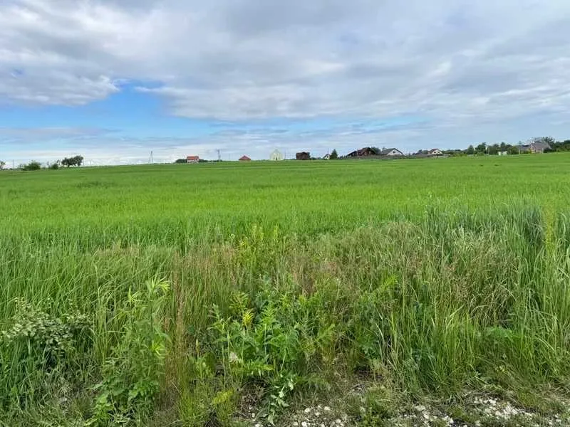 продаж ділянка під житлову забудову Бориспільський, Велика Стариця, 256982 грн.