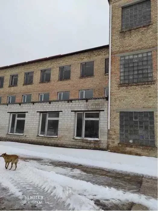 продаж виробничі приміщення Бородянський, Бородянка, 900000 $