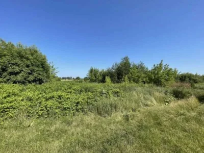 продаж ділянка сільськогосподарського призначення Броварський, Пухівка, 435071 грн.