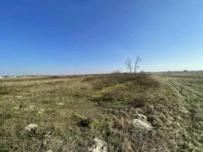 продаж ділянка сільськогосподарського призначення Броварський, Пухівка, 145733 грн.