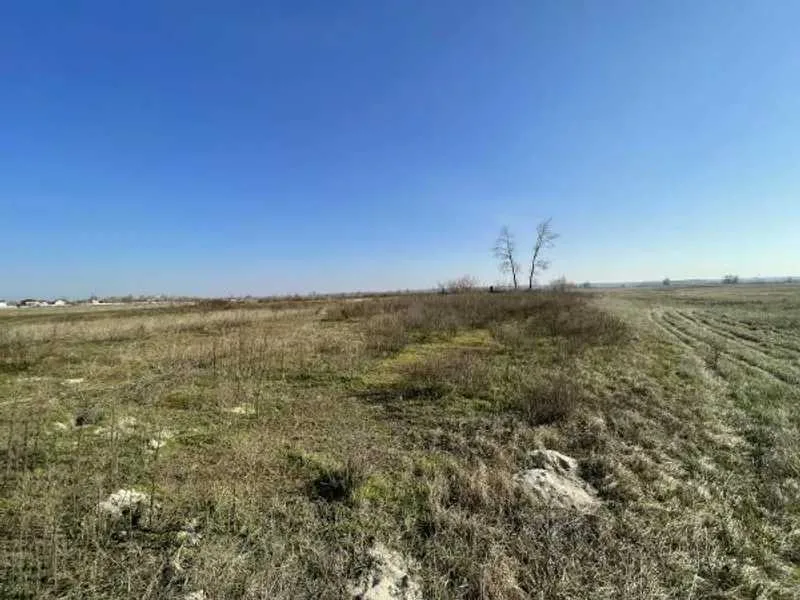 продаж ділянка сільськогосподарського призначення Броварський, Пухівка, 145733 грн.