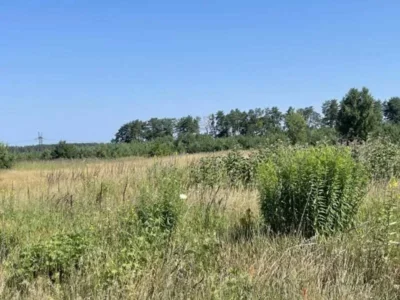 продаж ділянка сільськогосподарського призначення Броварський, Рожівка, 528301 грн.