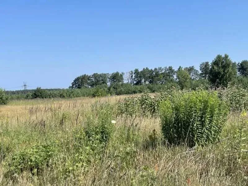 продаж ділянка сільськогосподарського призначення Броварський, Рожівка, 528301 грн.