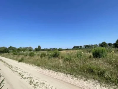 продаж ділянка сільськогосподарського призначення Броварський, Рожівка, 528301 грн.