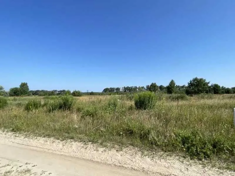 продаж ділянка сільськогосподарського призначення Броварський, Рожівка, 528301 грн.