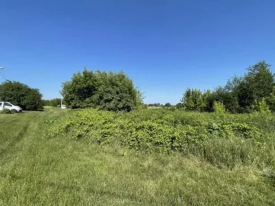 продаж ділянка сільськогосподарського призначення Броварський, Пухівка, 435071 грн.
